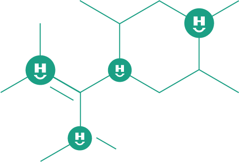 Happonomy molecule network